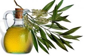 Aceite esencial da árbore do té