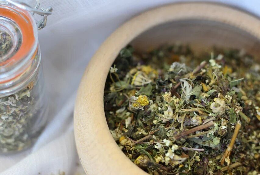 herbas medicinais para tratar fungos